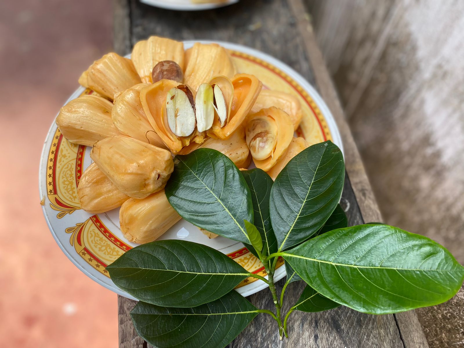 What is red jackfruit?