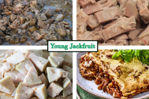 Young Jackfruit curry