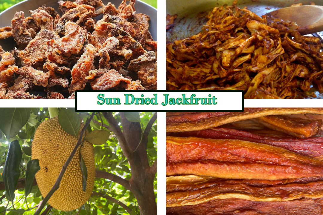 dried jackfruit