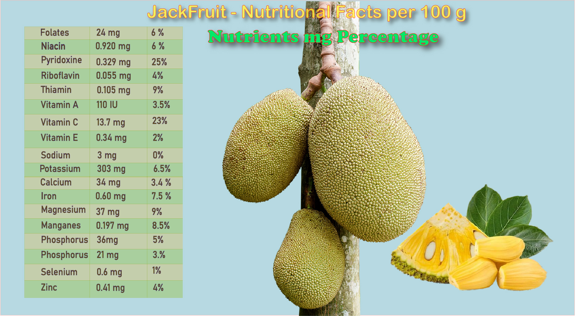 jackfruit nutrition facts | tropicaltreats.today